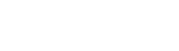 XGOLD IT